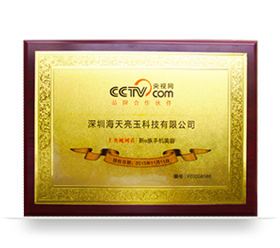 新e族与CCT央视网合作证书